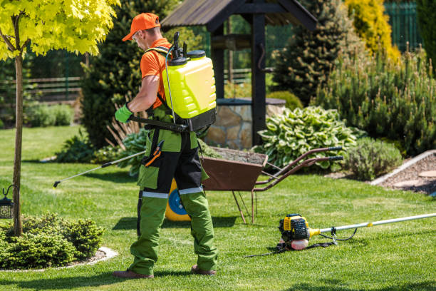 Best Fumigation Services  in Cardington, OH